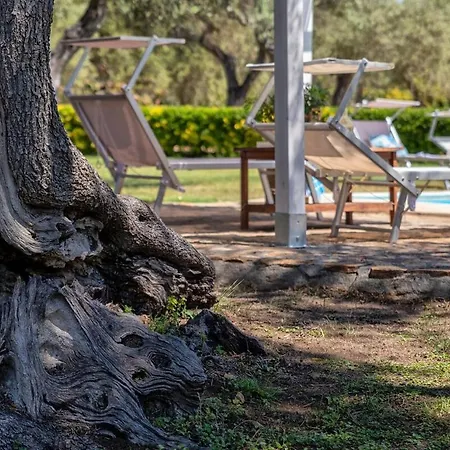Villa Con Piscina *
