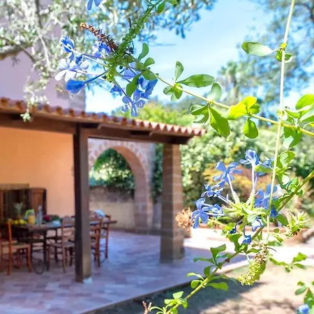 Con Piscina Αλγκέρο