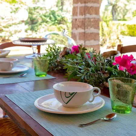 Βίλα Con Piscina Αλγκέρο